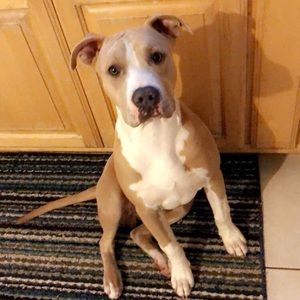 Meet your Posher, Malia